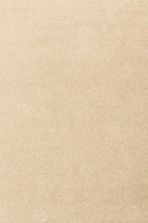 Ковровое покрытие AW Oinone 34 - (5м) в Нижневартовске