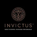 ПВХ плитка Invictus купить в Нижневартовске по выгодной цене ПВХ плитка Invictus в Нижневартовске