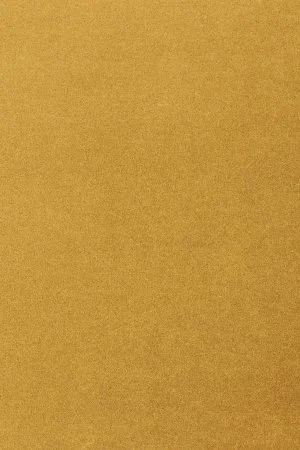 Ковровое покрытие AW Oinone 54 - (5м) в Нижневартовске