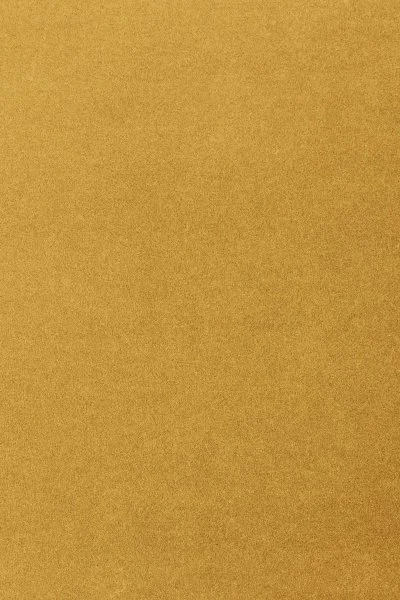 Ковровое покрытие AW Oinone 54 - (5м) в Нижневартовске