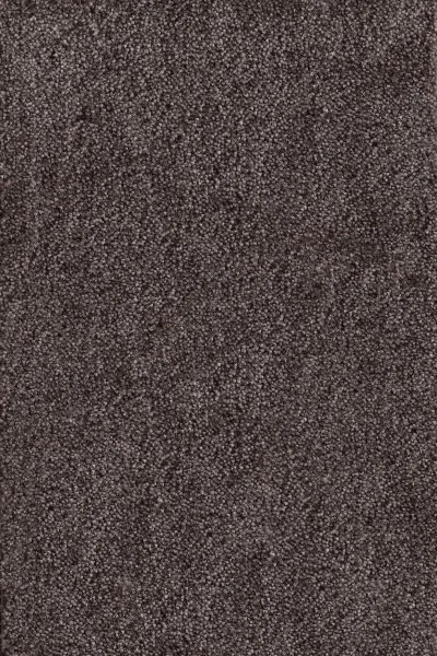 Ковровое покрытие AW Messalina 44 - (4м) в Нижневартовске