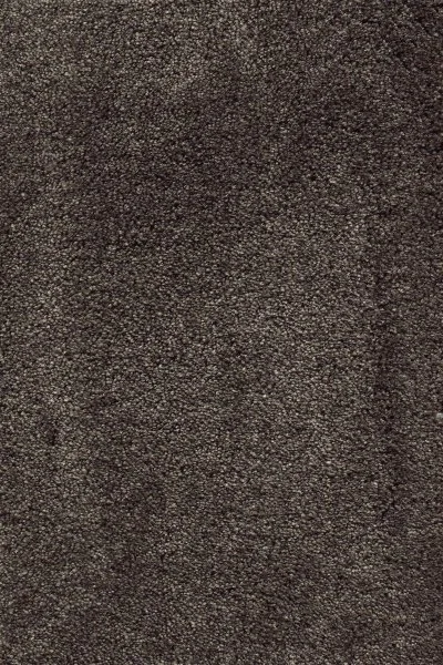 Ковровое покрытие AW Fedone 44 - (5м) в Нижневартовске