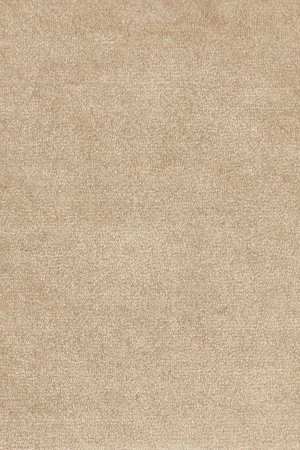 Ковровое покрытие AW Omphale 37 - (5м) в Нижневартовске