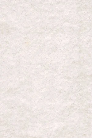 Ковровое покрытие AW Euphoria 03 - (5м) в Нижневартовске