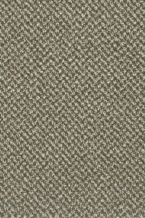 Ковровое покрытие AW Stainaway Tweed 24 - (4м) в Нижневартовске
