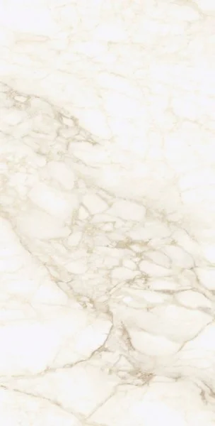 Керамогранит Coliseum Микеланджело Ворм 60х120 (Натуральный и Реттифицированный) в Нижневартовске