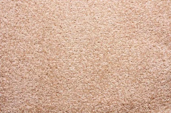 Ковровое покрытие Zartex Фортуна 004 кремовый - 3 м в Нижневартовске