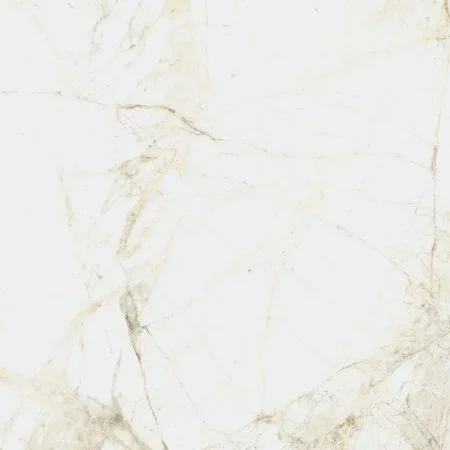 Керамогранит Coliseum Канова Уайт 60х60 (Натуральный и Реттифицированный) в Нижневартовске