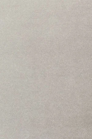 Ковровое покрытие AW Oinone 92 - (5м) в Нижневартовске