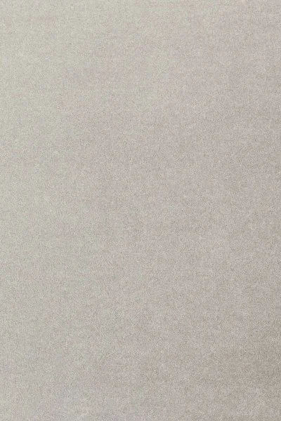 Ковровое покрытие AW Oinone 92 - (5м) в Нижневартовске