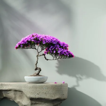 Обои Loymina Lotus LOT1 112 в Нижневартовске