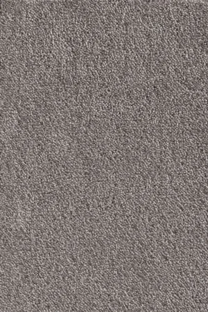 Ковровое покрытие AW Messalina 49 - (5м) в Нижневартовске