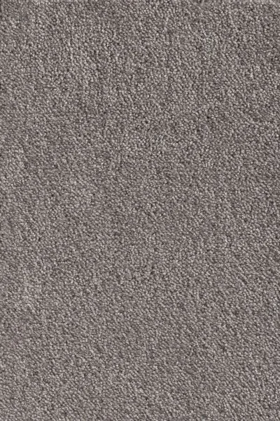 Ковровое покрытие AW Messalina 49 - (5м) в Нижневартовске