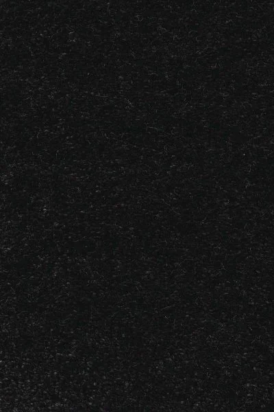 Ковровое покрытие AW Euphoria 99 - (5м) в Нижневартовске