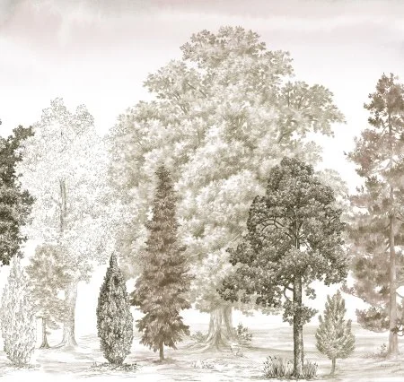 Обои Loymina Пейзаж vol. 2 ART14 012 в Нижневартовске