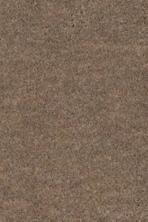 Ковровое покрытие AW Euphoria 36 - (4м) в Нижневартовске