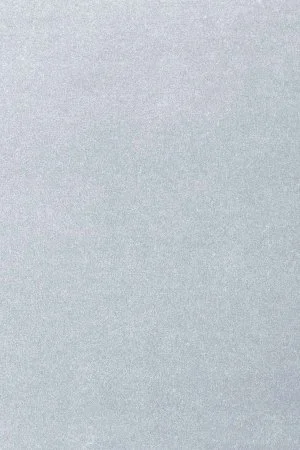 Ковровое покрытие AW Oinone 07 - (5м) в Нижневартовске