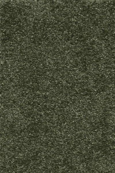 Ковровое покрытие AW Certosa 24 - (4м) в Нижневартовске