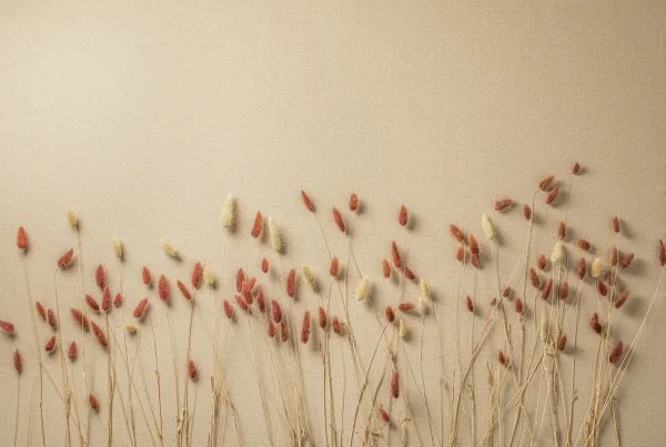 SDR3_012-2_OH9A1053++RGB