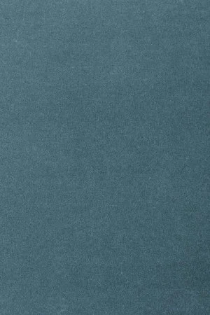 Ковровое покрытие AW Oinone 74 - (4м) в Нижневартовске