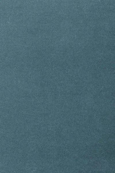 Ковровое покрытие AW Oinone 74 - (5м) в Нижневартовске