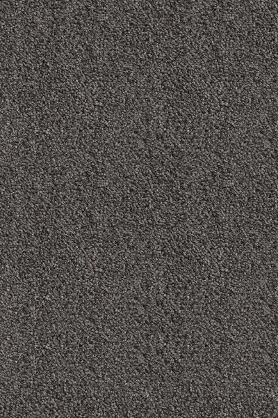 Ковровое покрытие AW Messalina 99 - (5м) в Нижневартовске