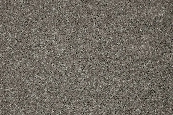 Ковровое покрытие AW Gala 94 - (5м) в Нижневартовске