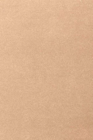 Ковровое покрытие AW Oinone 08 - (5м) в Нижневартовске