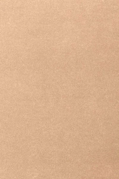 Ковровое покрытие AW Oinone 08 - (4м) в Нижневартовске