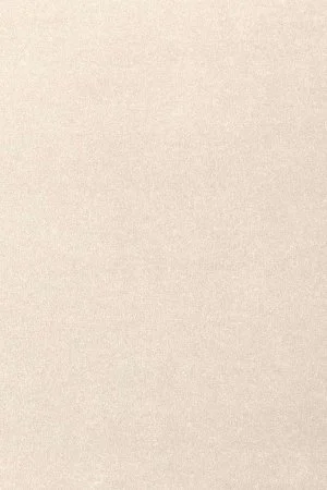 Ковровое покрытие AW Oinone 03 - (5м) в Нижневартовске