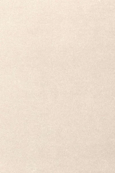 Ковровое покрытие AW Oinone 03 - (5м) в Нижневартовске