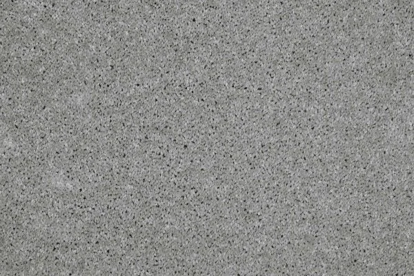 Ковровое покрытие AW Gala 90 - (4м) в Нижневартовске