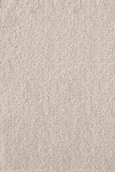 Ковровое покрытие AW Messalina 34 - (5м) в Нижневартовске