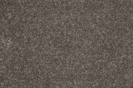 Ковровое покрытие AW Gala 49 - (4м) в Нижневартовске