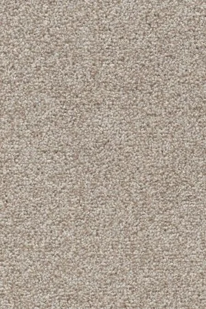 Ковровое покрытие AW Stainguard Harvest 04 - (4м) в Нижневартовске