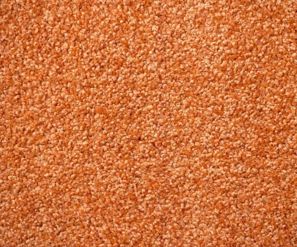 Ковровое покрытие Zartex Кидс 284 Апельсин - 3 м в Нижневартовске