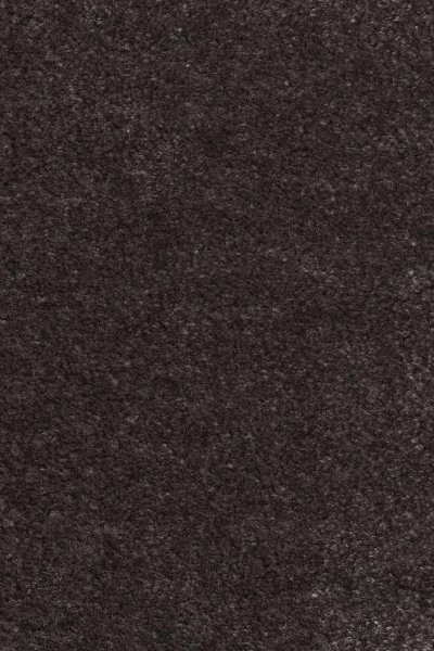 Ковровое покрытие AW Euphoria 43 - (4м) в Нижневартовске