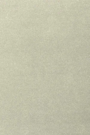 Ковровое покрытие AW Oinone 02 - (5м) в Нижневартовске