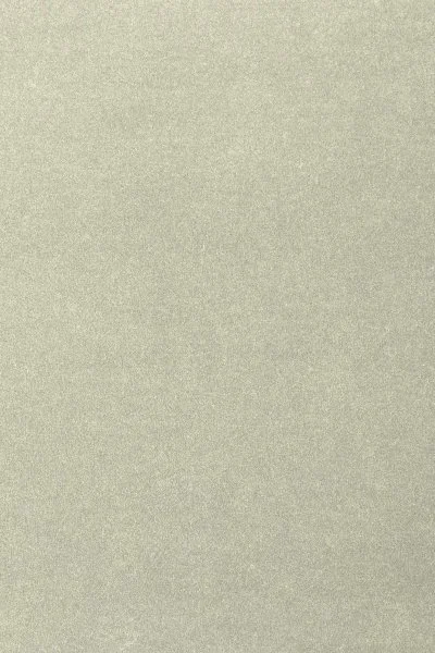 Ковровое покрытие AW Oinone 02 - (4м) в Нижневартовске