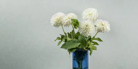 Обои Loymina Shade vol.2 SDR5, 001 в Нижневартовске