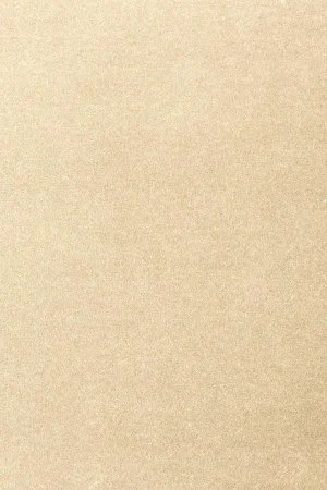 Ковровое покрытие AW Oinone 33 - (5м) в Нижневартовске