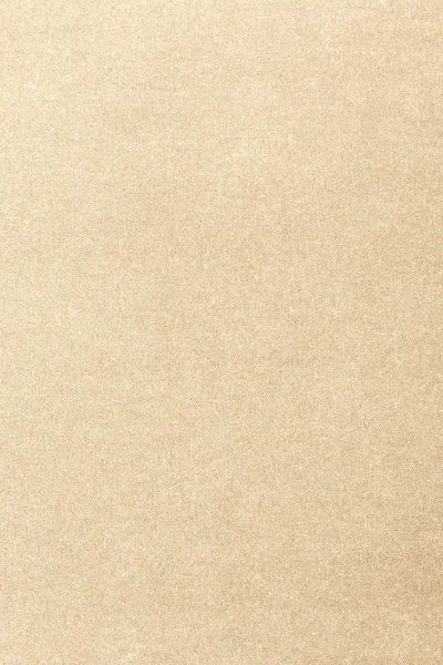 Ковровое покрытие AW Oinone 33 - (4м) в Нижневартовске