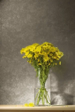 Обои Loymina Golden Library TDG 7, 008 в Нижневартовске