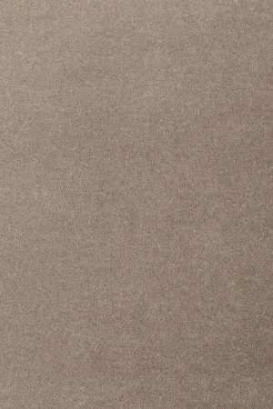 Ковровое покрытие AW Oinone 49 - (5м) в Нижневартовске