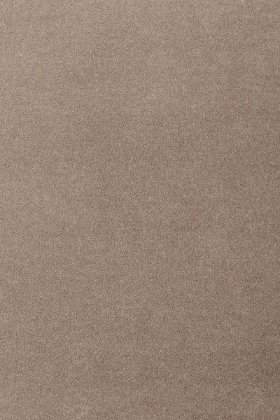 Ковровое покрытие AW Oinone 49 - (5м) в Нижневартовске