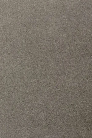 Ковровое покрытие AW Oinone 95 - (4м) в Нижневартовске