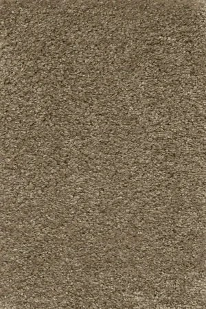 Ковровое покрытие AW Certosa 35 - (4м) в Нижневартовске