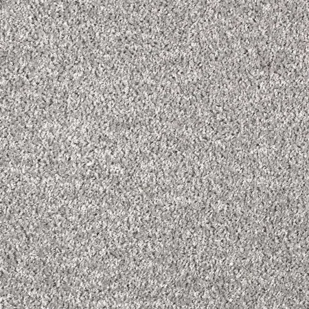 Ковровое покрытие AW Kiama 97 - (5м) в Нижневартовске