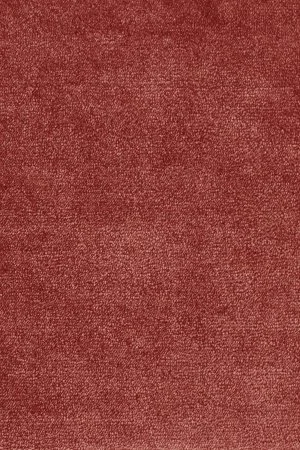 Ковровое покрытие AW Omphale 10 - (5м) в Нижневартовске