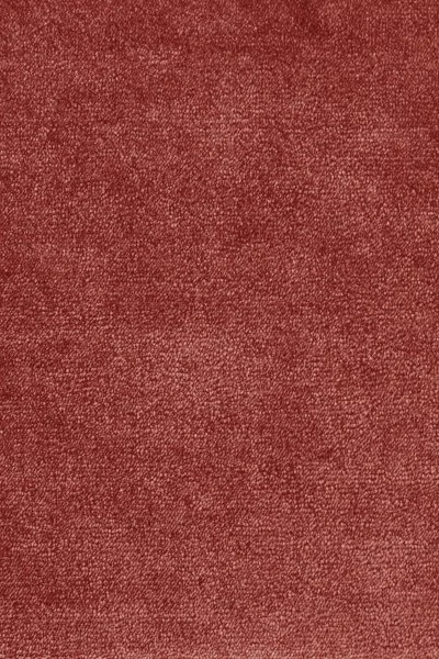 Ковровое покрытие AW Omphale 10 - (5м) в Нижневартовске